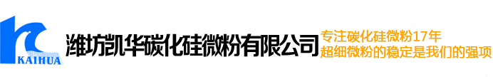 賽斯特